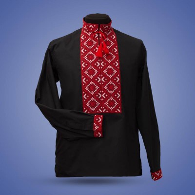 Embroidered shirt "Ukrainian Power 2"